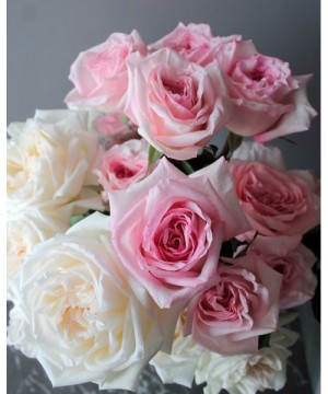 Роза пионовидная "Пинк Охара" поштучно №2916 фото 1  от интернет-магазина FASHION FLOWERS