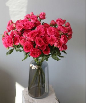 "Пинк Деменшн" кустовая розовая роза, поштучно №4560
