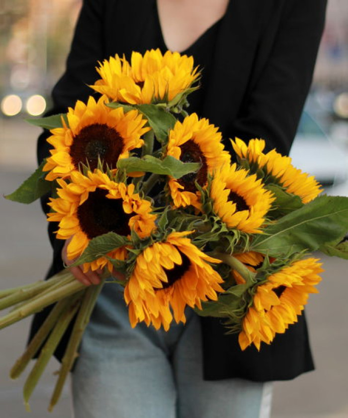 Гелиантусы подсолнухи, в ассортименте, поштучно