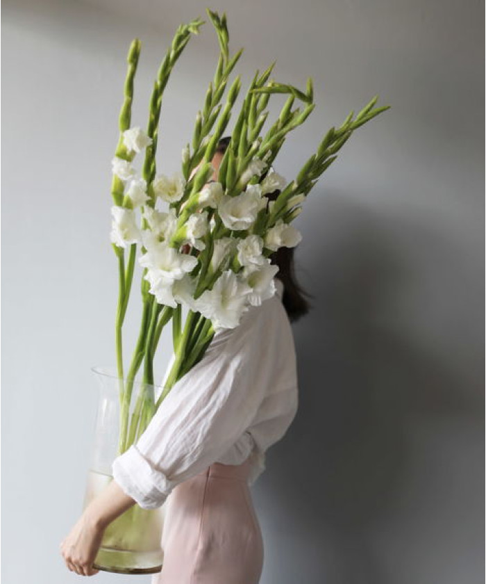 Гладиолусы, в ассортименте, поштучно