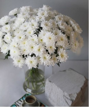 Хризантема кустовая белая Алтай, поштучно №5230