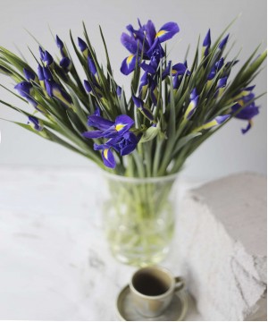 Ирисы фиолетовые, в ассортименте, поштучно №5421 фото 1  от интернет-магазина FASHION FLOWERS