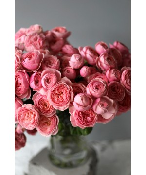 "Сильва Пинк" кустовая розовая роза, поштучно №4755 фото 1  от интернет-магазина FASHION FLOWERS