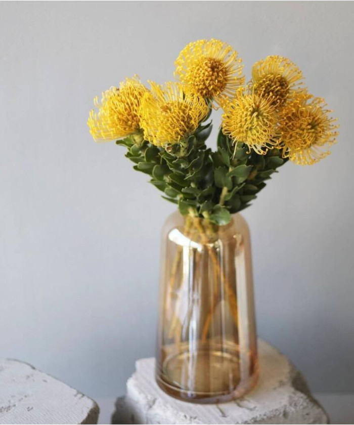 Нутан, поштучно