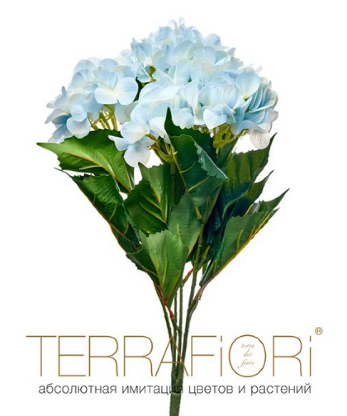 Гортензия куст TerraFiori