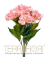 Гортензия куст TerraFiori