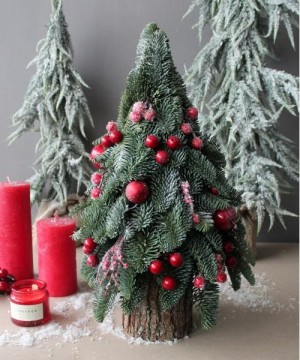 Живая ель "Merry Christmas" в деревянном кашпо, 45 см