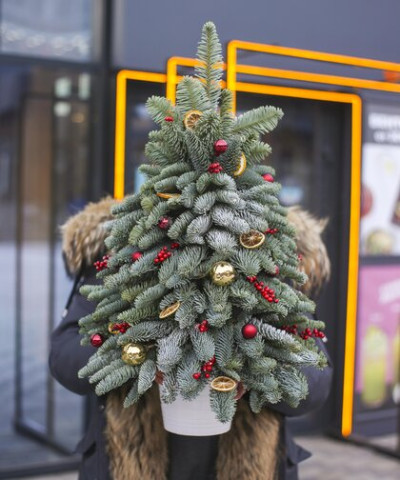 Ель "Новогодняя", 60 см