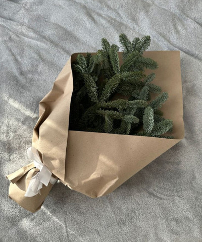 Ветки норвежской хвои Нобилис, для декора и вазы