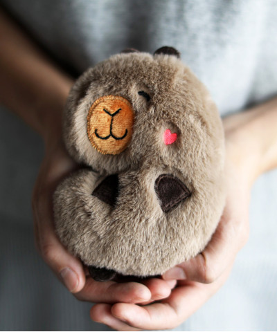 Капибара Барбара, мягкая игрушка 17см