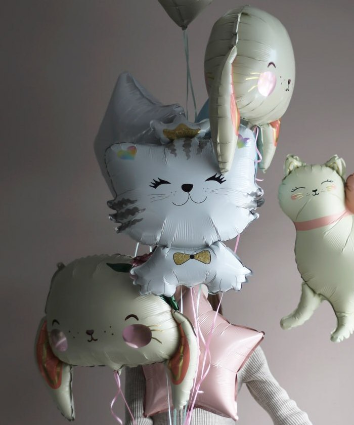 Шар фольга Кошка королева 26