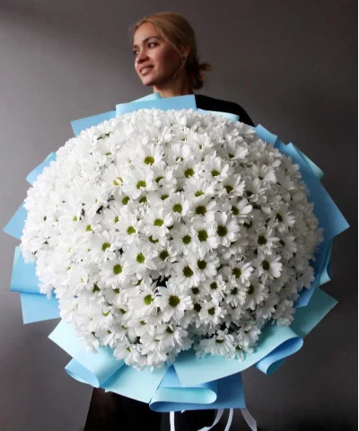 51 белая кустовая ромашковая хризантема Кеннеди №3059